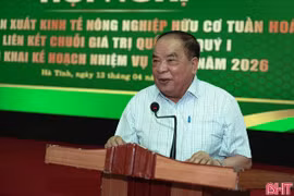 Quế Lâm tiếp tục mở rộng chuỗi nông nghiệp hữu cơ tại Hà Tĩnh