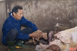 Quế Lâm tiếp tục mở rộng chuỗi nông nghiệp hữu cơ tại Hà Tĩnh