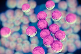 Phát hiện vi khuẩn có khả năng bảo vệ cơ thể trước hội chứng COVID kéo dài