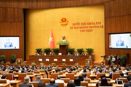 Khai mạc Kỳ họp không thường lệ lần thứ nhất, Quốc hội khoá XVI