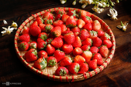 5 thực phẩm giúp 'bỏ đói' tế bào ung thư