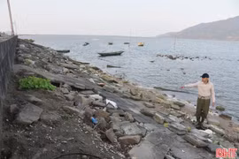 Phân bổ 119,5 tỷ đồng sửa chữa nhiều công trình đê điều, hồ đập xuống cấp