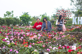 Thời tiết trong dịp tết Nguyên đán Bính Ngọ diễn biến thế nào?