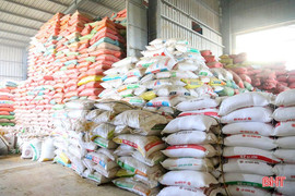 Xuất cấp hơn 4.150 tấn gạo hỗ trợ người dân 5 tỉnh dịp giáp hạt