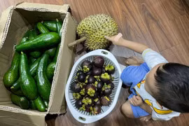 Mẹo ăn trái cây không làm tăng đường huyết