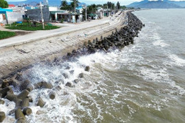 Khả năng xuất hiện 11-13 cơn bão, áp thấp nhiệt đới trên Biển Đông