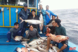 Ngư dân đầu tư tàu lớn, phấn khởi vươn khơi