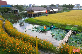 Khám phá hồn quê giữa lòng phố thị