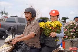 Thị trường hoa ngày 29 Tết: Tiểu thương "xả hàng", cây cảnh gần như bán hết