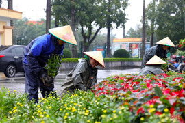 Thời tiết Hà Tĩnh những ngày tới không có nắng, độ ẩm cao