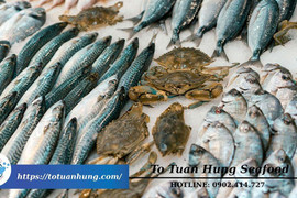 “Bao tử cá” Việt Nam vươn tầm quốc tế cùng Tô Tuấn Hưng Seafood