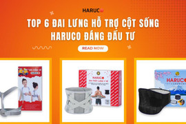 Top 6 đai lưng hỗ trợ cột sống Haruco đáng đầu tư