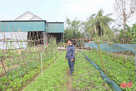 Sức sống mới ở vùng lũ Đức Quang