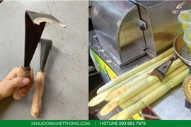 Dụng cụ cạo vỏ mía: Tổng hợp các loại phổ biến và lựa chọn tối ưu
