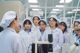 111 ngành mà sinh viên được học bổng 3,7-5,5 triệu đồng/tháng