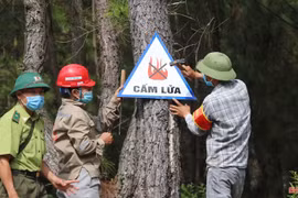 62 xã, phường của Hà Tĩnh có nguy cơ cháy rừng ở cấp cực kỳ nguy hiểm