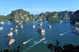 Báo Pháp ca ngợi Việt Nam là "viên ngọc" của Đông Nam Á