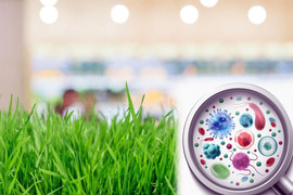 Tiết lộ 5 sai lầm ảnh hưởng đến hiệu quả sử dụng chế phẩm vi sinh