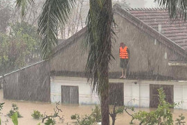 Người dân Gia Lai, Đắk Lắk leo nóc nhà chờ cứu hộ