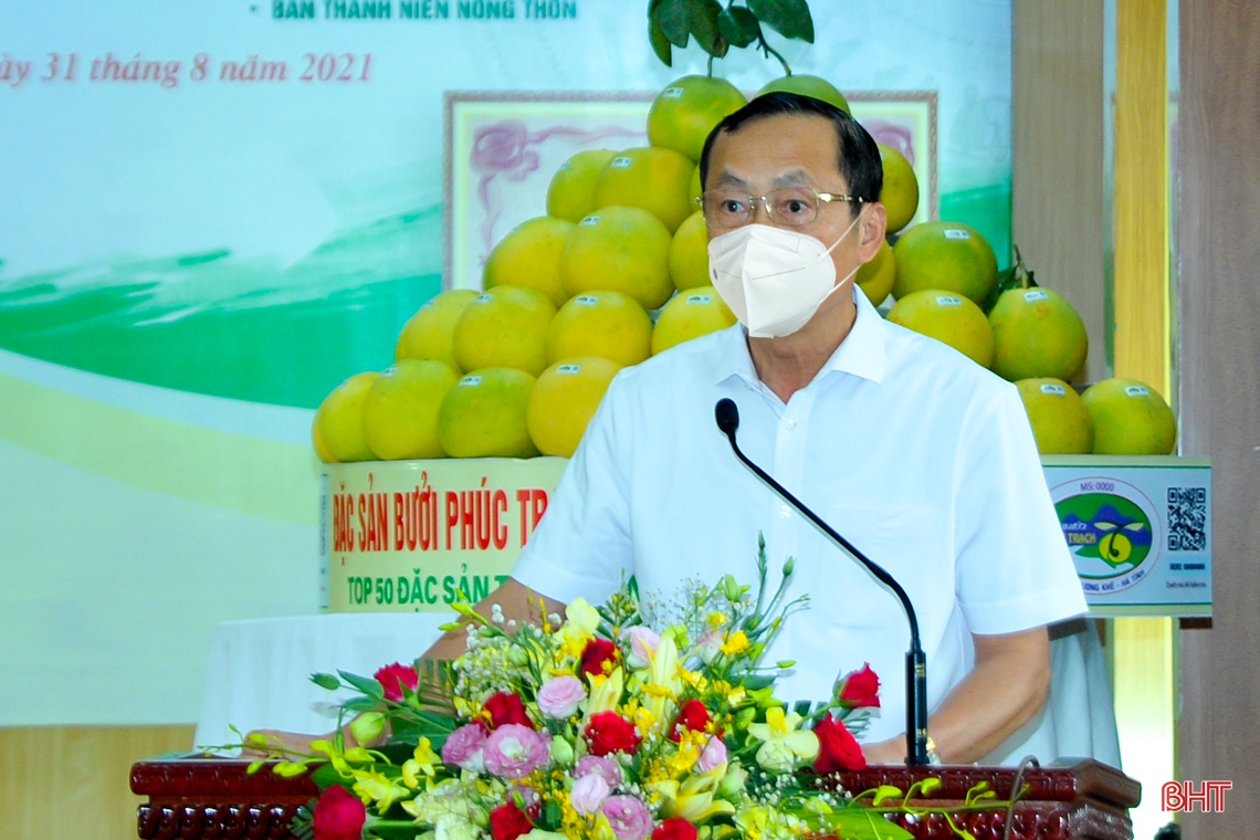 Hà Tĩnh tổ chức hội nghị xúc tiến tiêu thụ bưởi Phúc Trạch, kết nối trực tuyến hơn 300 điểm cầu