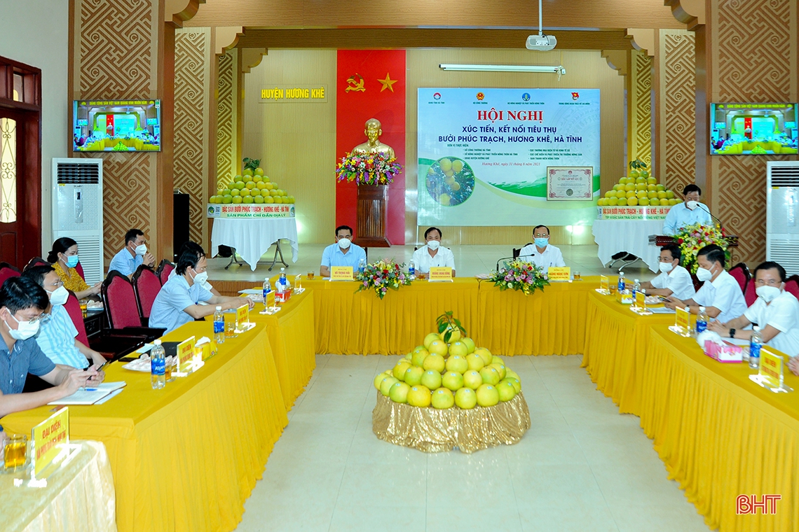 Hà Tĩnh tổ chức hội nghị xúc tiến tiêu thụ bưởi Phúc Trạch, kết nối trực tuyến hơn 300 điểm cầu