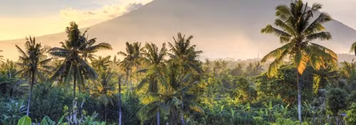 Nhắc đến Indonesia - nhiều người nghĩ ngay đến Bali xinh đẹp.