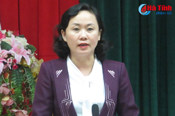 dai bieu hdnd tinh tai loc ha nang cao chat luong dong gop y kien