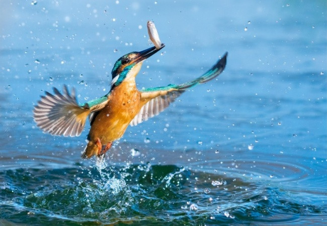 ngo ngang nhung buc anh chop dung khoanh khac