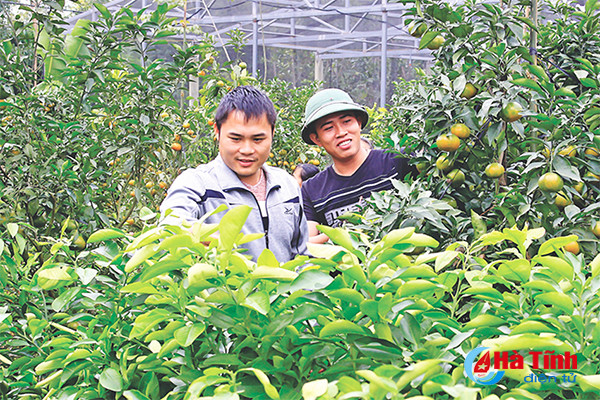 khat vong xanh