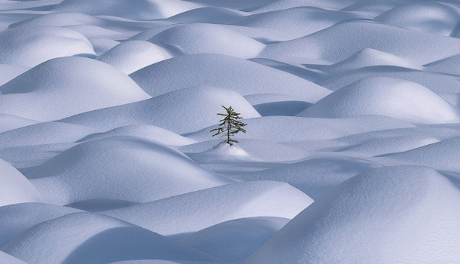 ngo ngang nhung buc anh chop dung khoanh khac