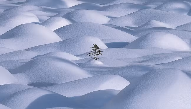 ngo ngang nhung buc anh chop dung khoanh khac