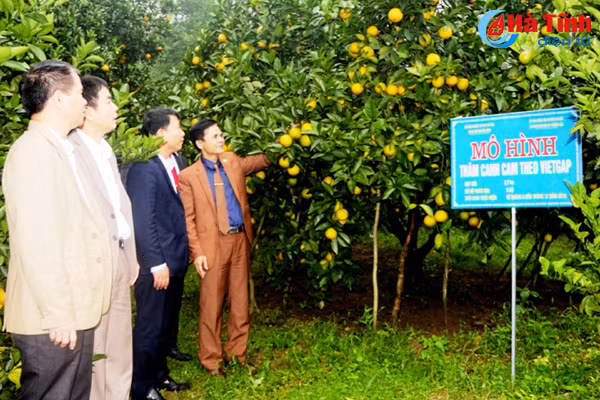 them 6 xa o can loc tx ky anh duoc de nghi xet dat chuan ntm