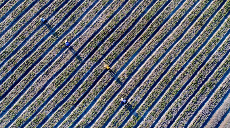 trao giai cuoc thi anh ha tinh trong toi thang thu nhat