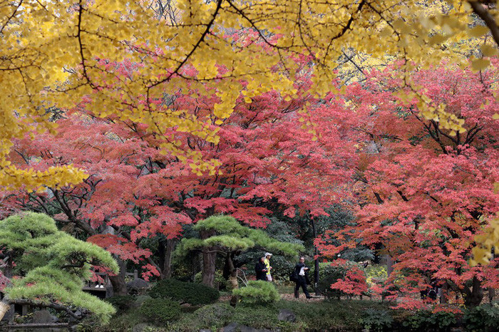 the gioi trong tuan qua anh nui lua phun o indonesia