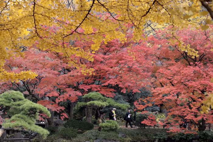 the gioi trong tuan qua anh nui lua phun o indonesia