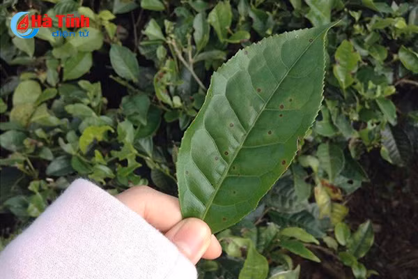 7 diem chup anh nghin like cua gioi tre ha tinh