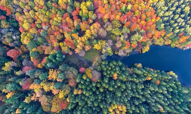 ngo ngang nhung buc anh chop dung khoanh khac