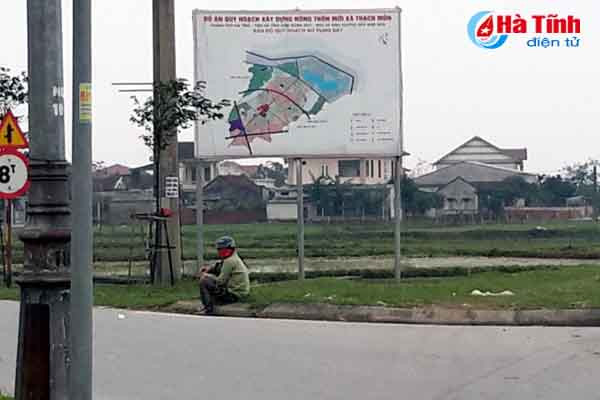 trau bo van tung tang tren long le duong nam cau cay