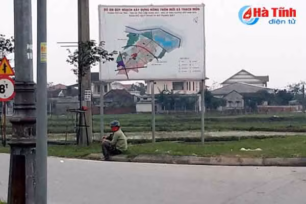 trau bo van tung tang tren long le duong nam cau cay