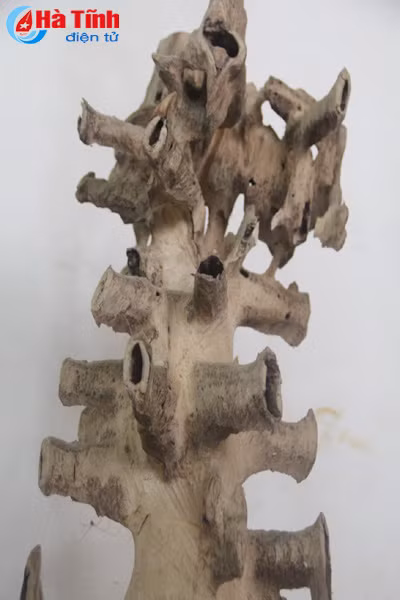 me man nhung mon do my nghe o lanh dia tram huong ha tinh