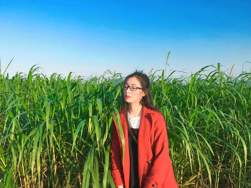 nhan sac doi thuong cua hoa khoi imiss thang long nguoi ha tinh