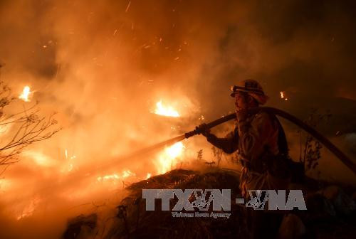 chay rung tai my thieu rui dien tich bang ca thanh pho chicago