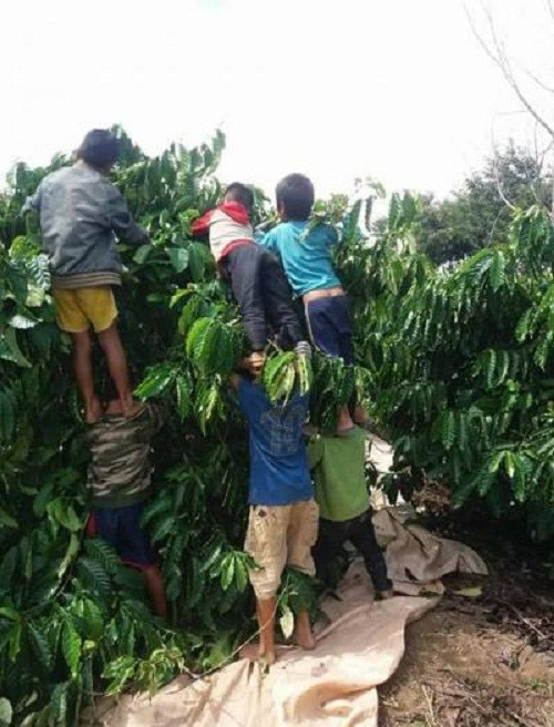 nhung anh hai hot nhat facebook trong ngay