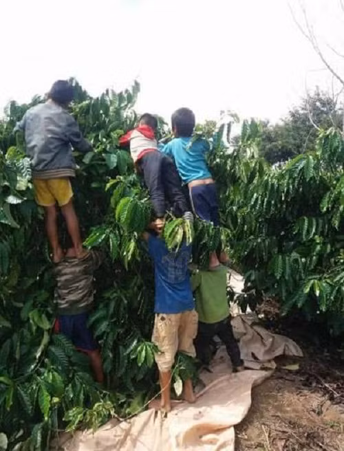 nhung anh hai hot nhat facebook trong ngay