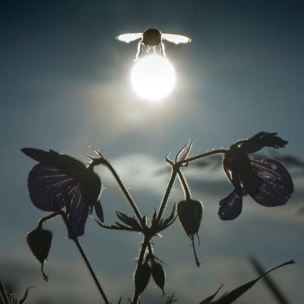 loat anh co mot khong hai nho chup dung thoi diem