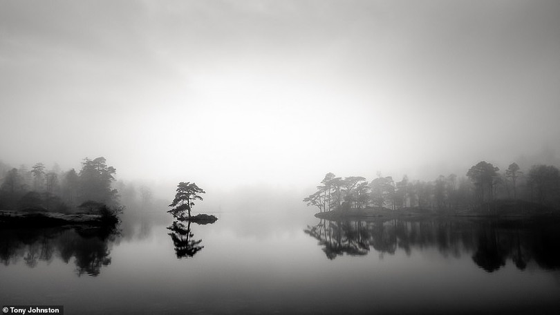 Những bức ảnh đen trắng theo phong cách tối giản đẹp nhất năm 2020