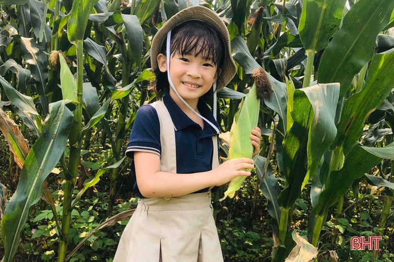 Ngày hội nông trại xanh” của các bé mầm non Trung Kiên