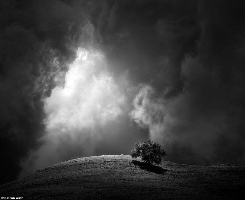 Những bức ảnh đen trắng theo phong cách tối giản đẹp nhất năm 2020