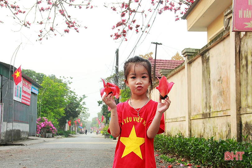 Ngắm cây hoa gạo hơn 200 năm trên quê hương Đại thi hào Nguyễn Du