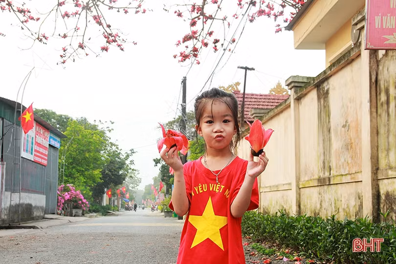 Ngắm cây hoa gạo hơn 200 năm trên quê hương Đại thi hào Nguyễn Du